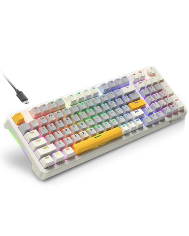 RAEGR MechGear X100 Mechanical Gaming Keyboard | 98 Keys Compact Full Size, Rainbow Backlit -Retro White/Grey