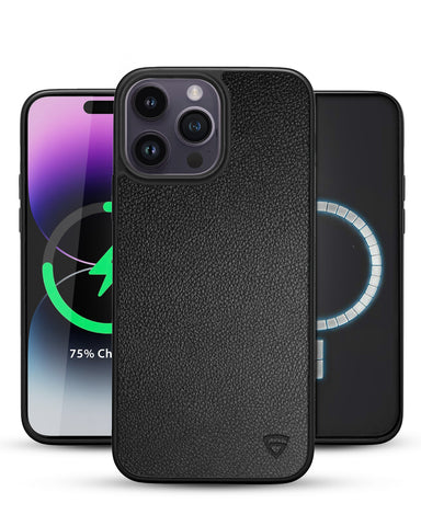 RAEGR MagFix Elements Armor iPhone 14 Pro Max (6.7-Inch) Case
